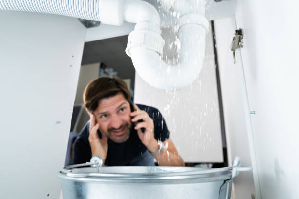 Best Shower Repair Services  in Dyersburg, TN